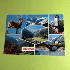 COGNE STAMBECCO GRAN PARADISO