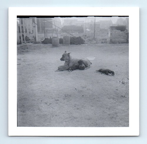 Vecchia foto quadrata vintage