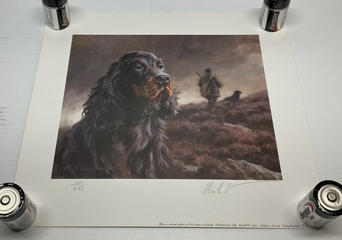Gordon setter dog mick cawston - setter,