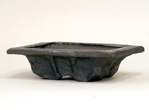 Vaso bonsai firmato