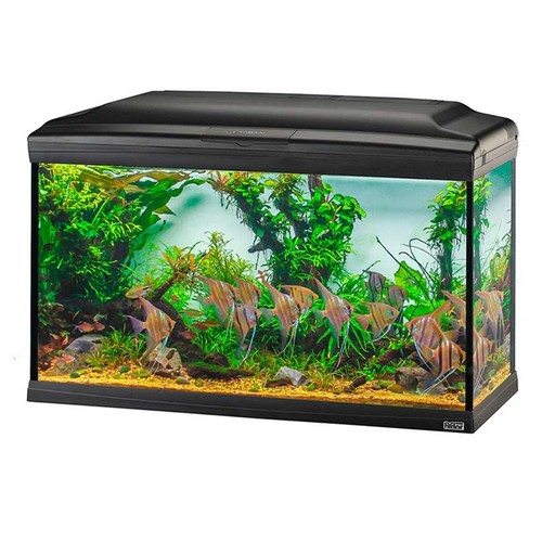 Acquario ferplast cayman - ferplast,