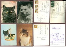 BR1552 QUATTRO CARTOLINE  GATTI -  USATE VINTAGE