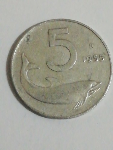 Moneta lire 1955 - moneta,