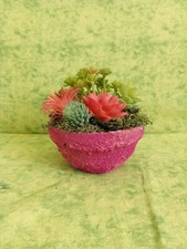 Piante Grasse Artificiali