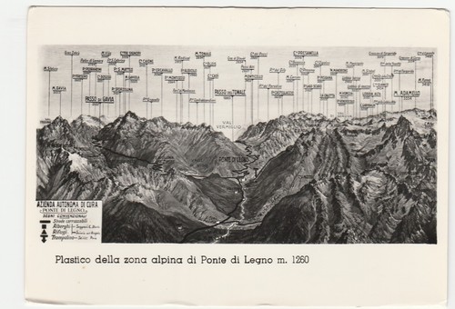 Plastico della zona - alpina, di