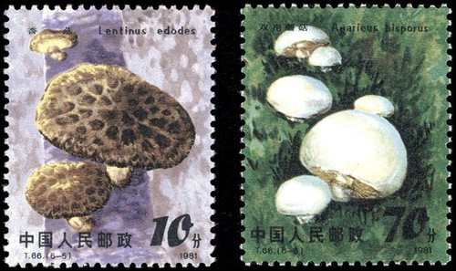 1981 cina 1718 - vr,,
