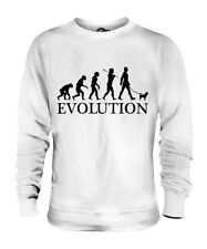 MAGLIONE CHIHUAHUA EVOLUTION OF MAN UNISEX UOMO DONNA DONNA AMANTE DEI CANI REGALO