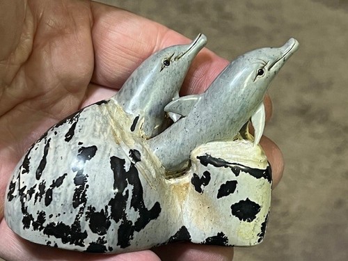 Bellissima coppia delfini - coppia,