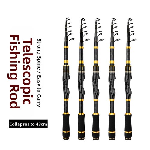 Canna pesca portatile - da,