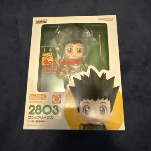 Esame hunter gon - esame, x