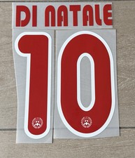 Name and Number Print for