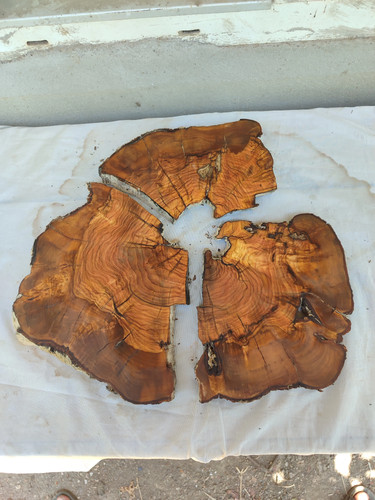 Lastra legno ulivo per - legno, di