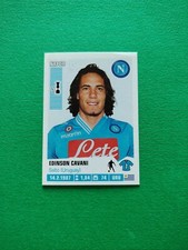 CALCIATORI PANINI 2012 13