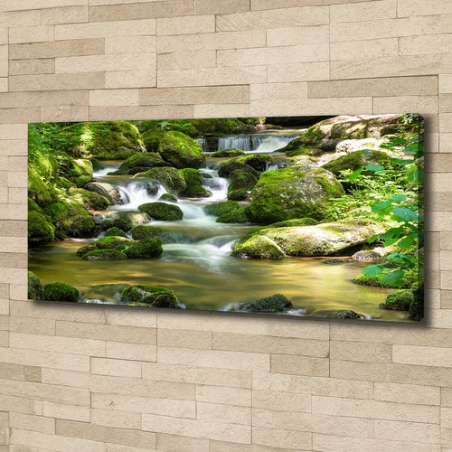 Tulup dipinto tela pittura - dipinto,