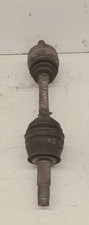 46307131 Semialbero ant