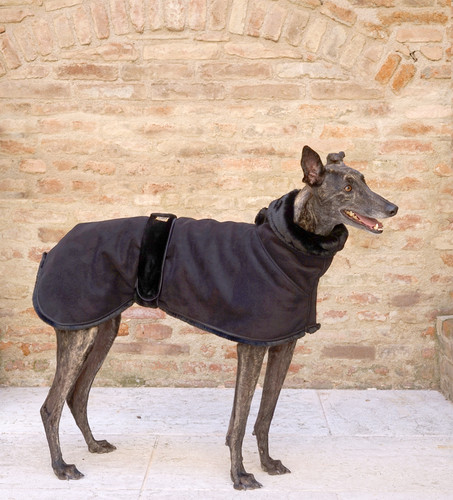 Greyhound coat eco - coat, in