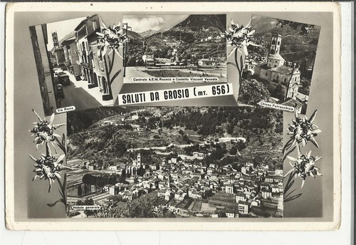 81093 saluti grosio - 81093,