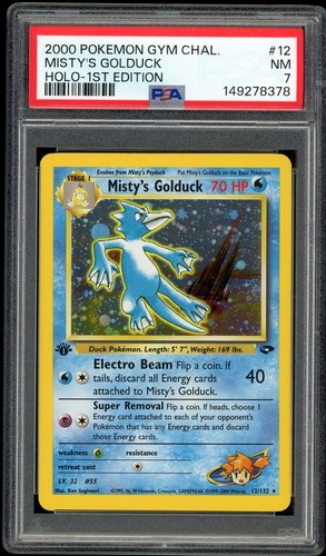 Pokemon gym challenge - challenge, holo