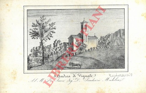 Bologna stampe corty s - stampe,