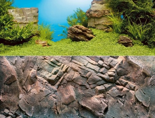 Poster per acquario e - acquario,