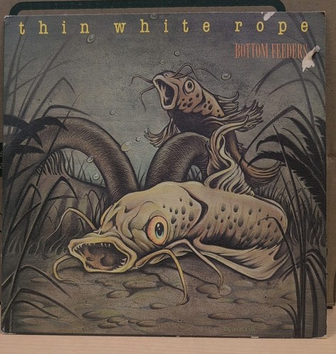 Thin white rope - thin, bottom