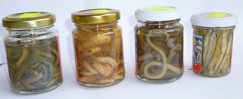 Esche sotto olio pesca - esche,