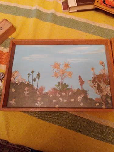 Quadri 37x26 fiori - 37x26,