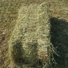 Fieno in piccole presse-balle