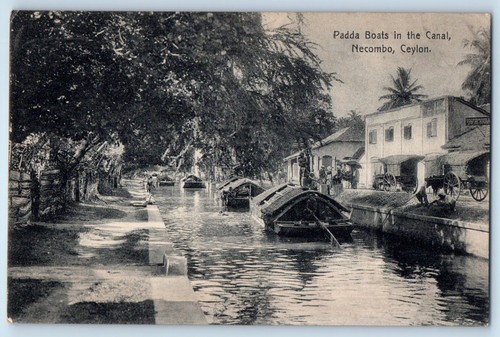 Cartolina ceylon sri lanka - cartolina,