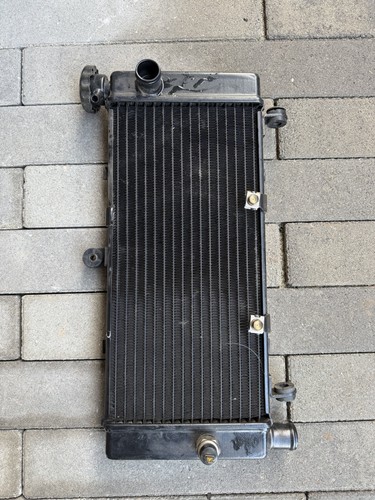 Radiatore acqua honda - radiatore,