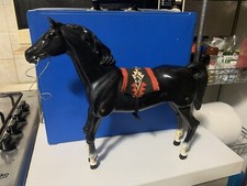 Big Jim Cavallo Pinto