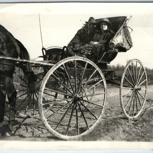 1913 harris cavallo passeggino - 1913,