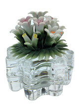 Scatolina In Cristallo Con