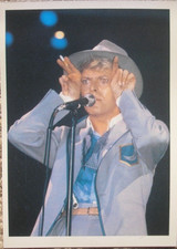 DAVID BOWIE FOTO REX FEATURES TRATTA DA PHOTO BOOK MAX DEL 1990