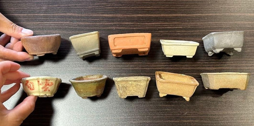 Vaso per bonsai giapponese