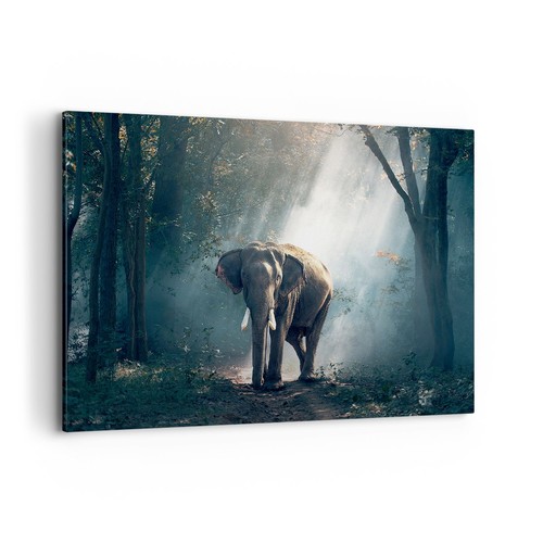 Quadro tela 120x80cm - quadro, su