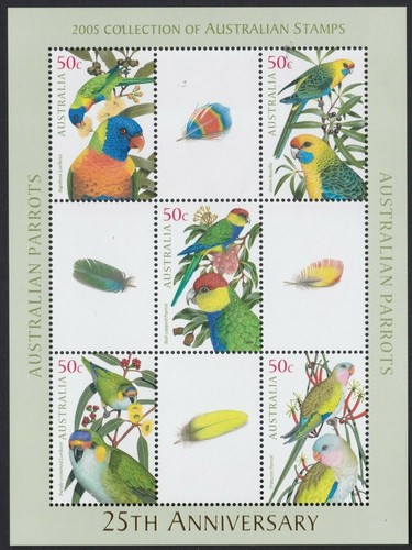 Australia parrot lorikeet - australia,