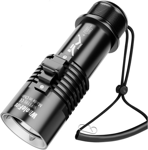 Torcia subacquea 8000 lumen - torcia,