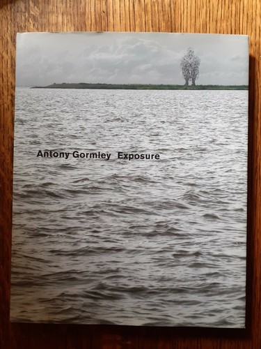 Antony gormley exposure - gormley,