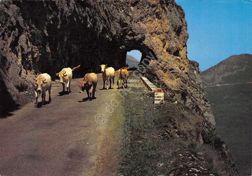 Cartolina col aubisque tunnel - cartolina,