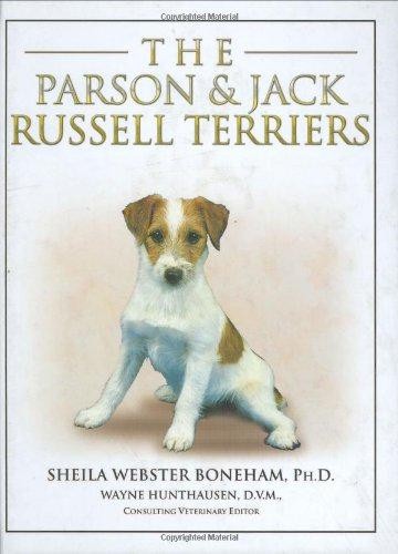The parson and jack russell - the,