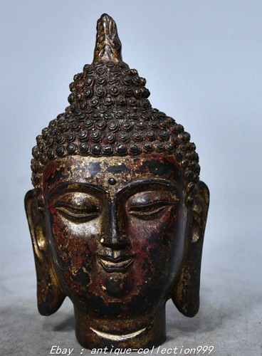 Statua testa buddha - statua,