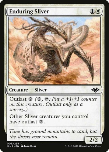 Enduring sliver modern - sliver,