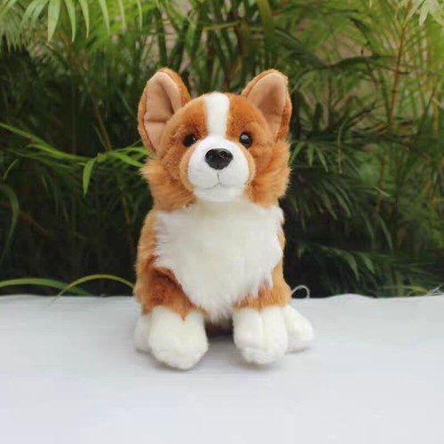 New corgi teddy corgis - teddy,