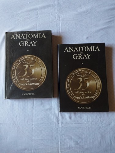 Anatomia del gray - anatomia,
