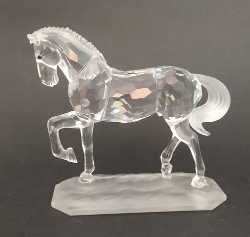 Cavallo stallone arabo - cavallo,