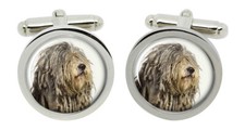 Bergamasco pastore cane - bergamasco,
