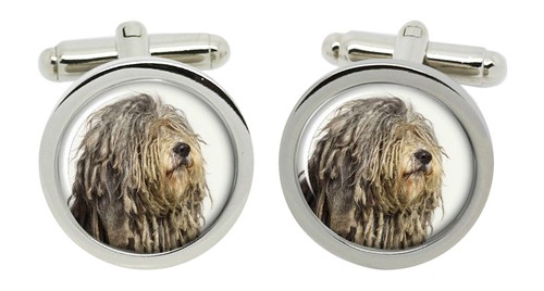 Bergamasco pastore cane - pastore,