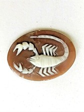 CAMMEO vintage scorpione SPILLA miniatura CIONDOLO cameo MADREPERLA o...