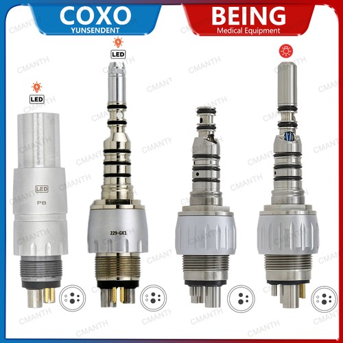 Coxo accoppiamento dentale - coxo,